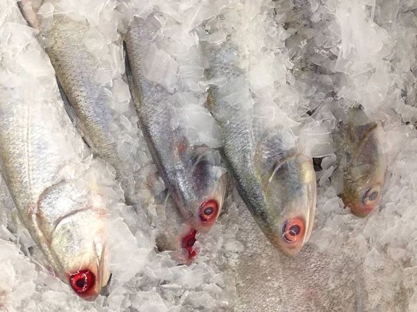 Fresh fish on ice in the market