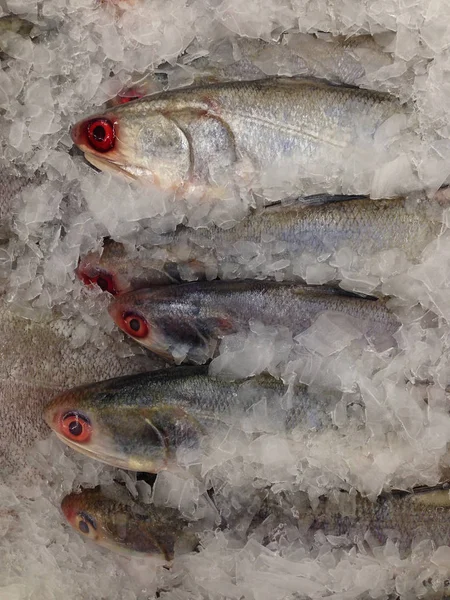 Fresh fish on ice in the market