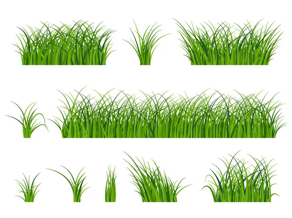 Fragmento de una hermosa hierba verde aislado en un blanco, Vector — Archivo Imágenes Vectoriales