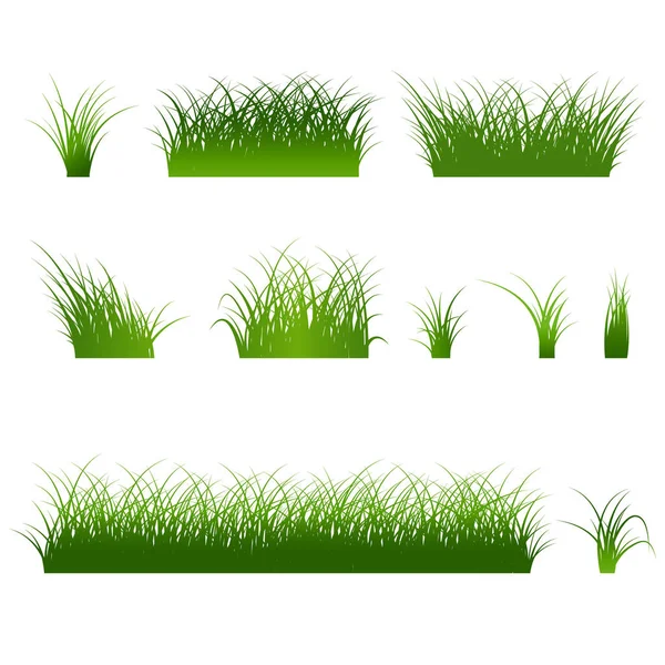 Fragmento de una hermosa hierba verde aislado en un blanco, Vector — Archivo Imágenes Vectoriales