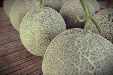 Taze yeşil büyük kavunlar markette, bir sürü kavun. büyük g