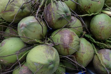 Hindistan cevizi, hindistan cevizi, tropik meyve, doğal arka plan.