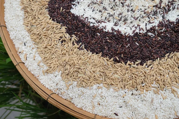 Jasmine rice, Brown rice, Red rice,Black rice, Mixed rice and Ri