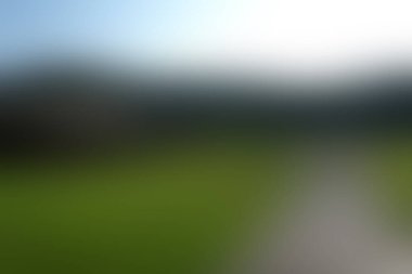 Doğal yeşil bulanık arkaplanda soyut parlayan ışık