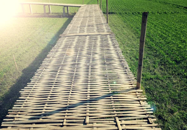 Houten Pad Bij Groene Rijst Organisch Veld Bamboe Brug Prachtige — Stockfoto