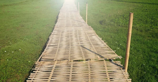 Деревянная Дорожка Зеленом Рисовом Органическом Поле Бамбуковый Мост Красивая Сцена — стоковое фото