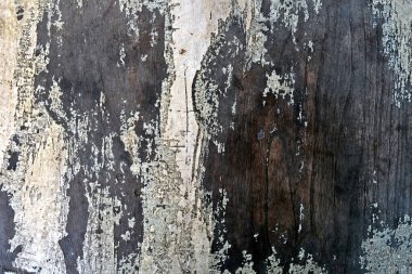 Ahşap doku. arkaplan eski paneller, soyut arkaplan, boş şablon, yakın plan