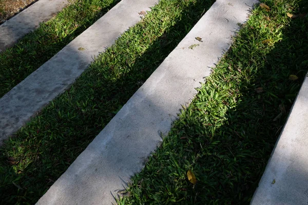 Gehweg Öffentlichen Park Auf Grünem Gras — Stockfoto