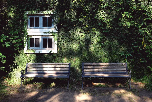 Dům Pokrytý Zeleným Břečťanem Přírodní Pozadí Dřevěné Lavice — Stock fotografie