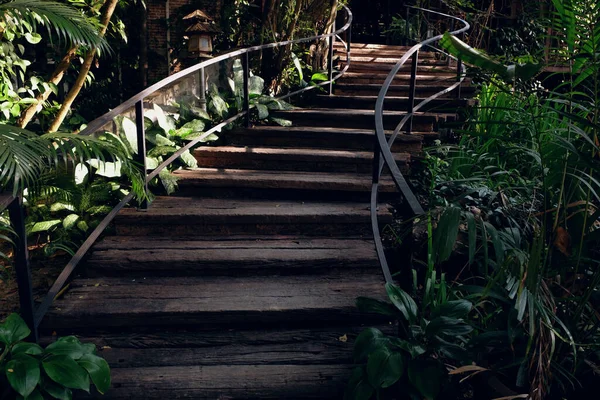 Escadaria Madeira Floresta Fundo Natural — Fotografia de Stock