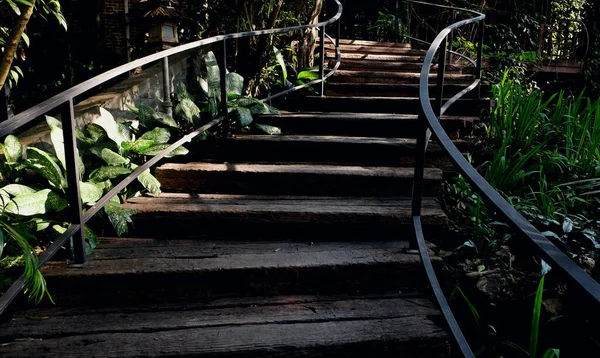 Holztreppe Wald Natürlicher Hintergrund — Stockfoto