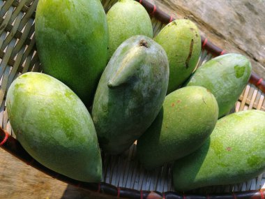 sepetin üzerinde yeşil mango ve eski ahşap masa, bir grup mango meyvesi, ekşi ve sağlıklı olmak için yüksek vitamin.