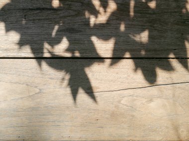 Ahşap doku. arkaplan eski paneller, soyut arkaplan, boş şablon, yakın plan