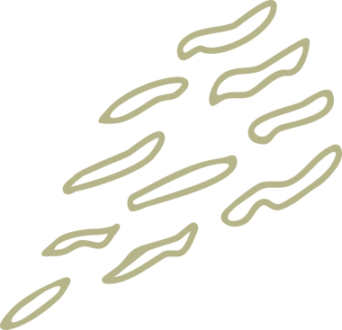 Çiçek ve yaprak doğal tasarım dekorasyonu