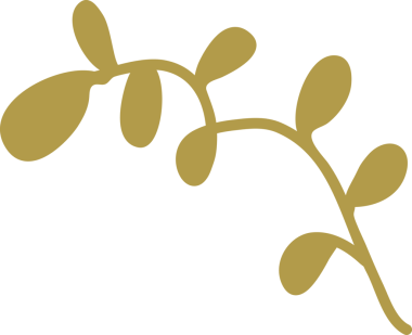 Çiçek ve yaprak doğal tasarım dekorasyonu