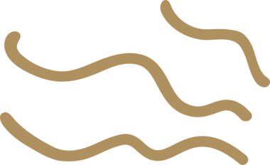 Çiçek ve yaprak doğal tasarım dekorasyonu