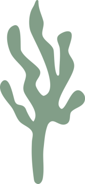 Çiçek ve yaprak doğal tasarım dekorasyonu