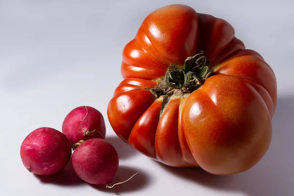 Große rote Tomaten und Rettich auf weißem Hintergrund lizenzfreie Stockfotos