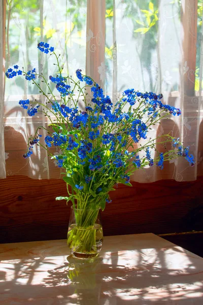 Petit Bouquet Bleu Oublie Nots Dans Vase Lumière Soleil Une — Photo