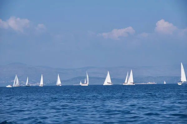 Yelkenli yarışı panoraması. Lüks yatlar.