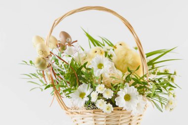 Mutlu Paskalyalar. Paskalya arkaplanını tebrik ederim. Paskalya yumurtası ve çiçekleri