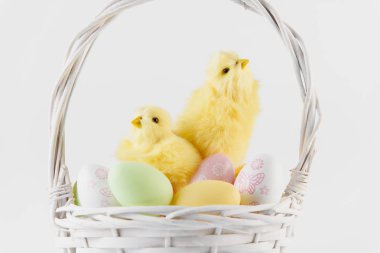 Mutlu Paskalyalar. Paskalya arkaplanını tebrik ederim. Paskalya yumurtası ve çiçekleri