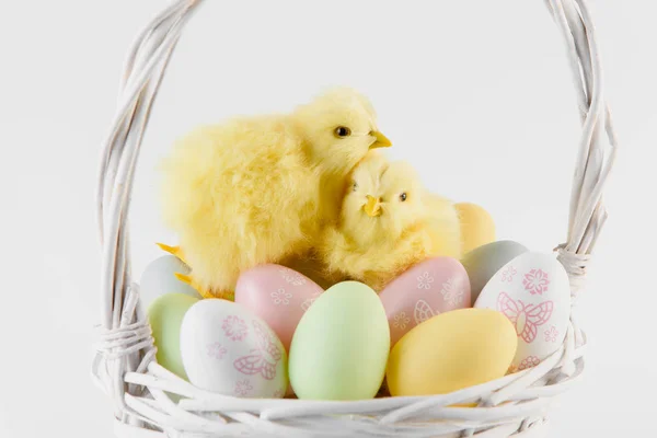 Happy Easter. Congratulatory easter background. Easter eggs and flowers — Stock Photo, Image