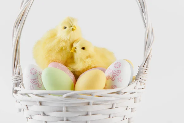 Happy Easter. Congratulatory easter background. Easter eggs and flowers — Stock Photo, Image