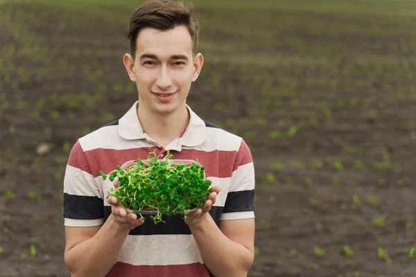 Vegeterian Microgreen Soil Hands Man Holds Green Microgreen Sunflower Seeds — Stock Photo, Image