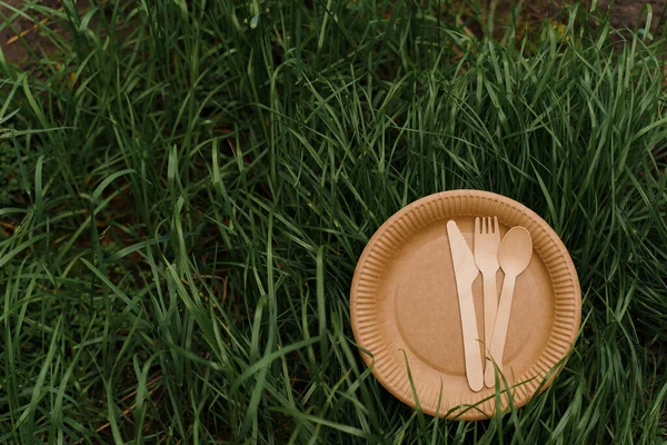 生态友好的天然盘子用勺子 一套在绿草背景上的一次性生态菜盘 地球的可持续性 竹子和甘蔗纤维制成的硬纸板盘 — 图库照片