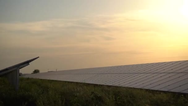 Sonnenkollektoren stehen bei Sonnenuntergang in Reihe auf dem Boden. Kostenloser Strom für zu Hause. Nachhaltigkeit des Planeten. Grüne Energie. Solarzellen treiben das Geschäft mit Kraftwerken an. Ökologische saubere Energie. Blaue Tafeln am Boden.