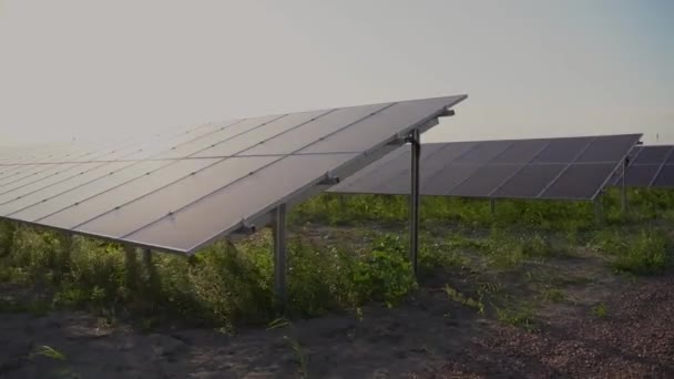 Zonnepanelen Staan Rij Grond Gratis Elektriciteit Voor Thuis Duurzaamheid Van — Stockvideo