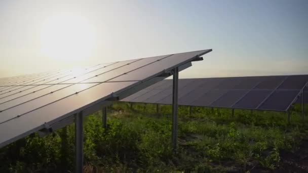 地面上的太阳能电池板免费家用电器 地球的可持续性 家庭使用绿色能源 太阳能电池发电厂的业务 生态清洁能源 地面上的蓝色面板 — 图库视频影像