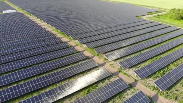 有蓝色太阳能电池板的大型发电厂 从无人机上看到的蓝色的嵌板排列在地面上 免费家用电器 地球的可持续性 绿色能源 太阳能电池发电厂业务 — 图库视频影像