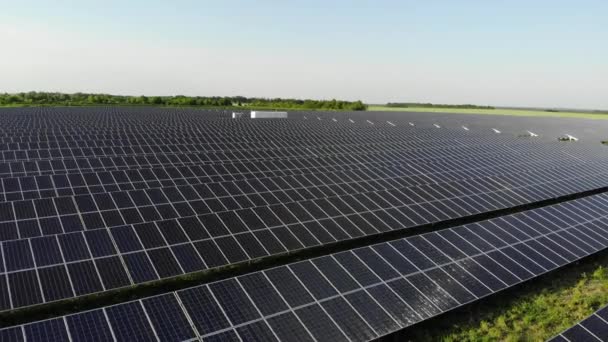 有蓝色太阳能电池板的大型发电厂 从无人机上看到的蓝色的嵌板排列在地面上 免费家用电器 地球的可持续性 绿色能源 太阳能电池发电厂业务 — 图库视频影像