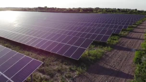 Planta Energia Painéis Solares Drone Painéis Azuis Estão Fila Chão — Vídeo de Stock