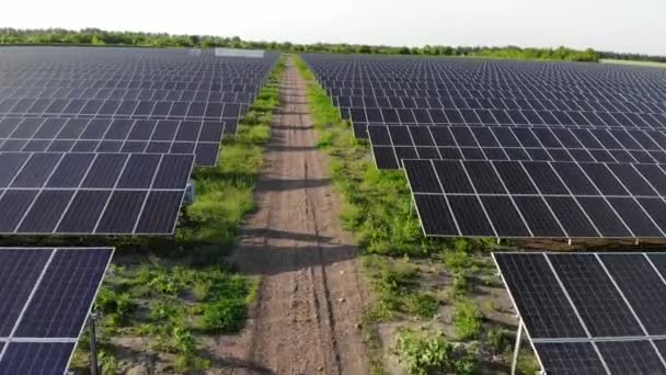 Planta Energia Painéis Solares Drone Painéis Azuis Estão Fila Chão — Vídeo de Stock