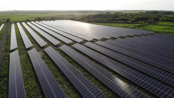太阳能电池板发电厂从无人驾驶飞机 蓝色的嵌板排列在地面上 免费家用电器 地球的可持续性 绿色能源 太阳能电池发电厂业务 — 图库视频影像