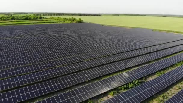 太阳能电池板发电厂从无人驾驶飞机 蓝色的嵌板排列在地面上 免费家用电器 地球的可持续性 绿色能源 太阳能电池发电厂业务 — 图库视频影像