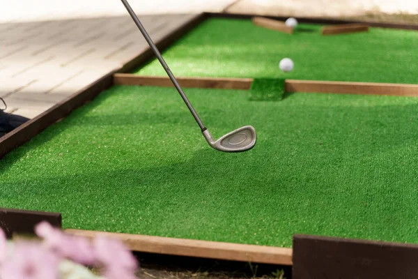 Playing in mini-golf on the green grass using niblick. Player hits white ball. Golf sport game. Advert for golf club