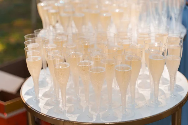 Welkom Drink Zone Met Champagne Wegwerp Plastic Wijnbekers Veel Wijnglazen — Stockfoto