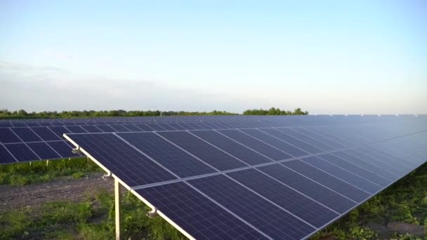 Sonnenkollektoren stehen reihenweise auf dem Boden. Kostenloser Strom für zu Hause. Nachhaltigkeit des Planeten. Grüne Energie. Solarzellen treiben das Geschäft mit Kraftwerken an. Ökologische saubere Energie. Blaue Tafeln am Boden. — Stockvideo