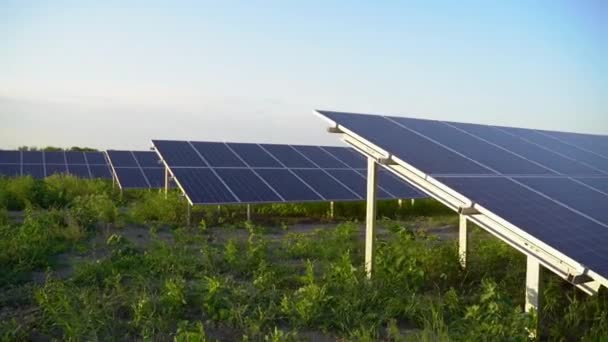 Solpaneler på marken. Gratis el för hemmet. Planetens hållbarhet. Grön energi för hemmet. Solcellers kraftverksverksamhet. Ekologisk ren energi. Blå paneler på marken. — Stockvideo