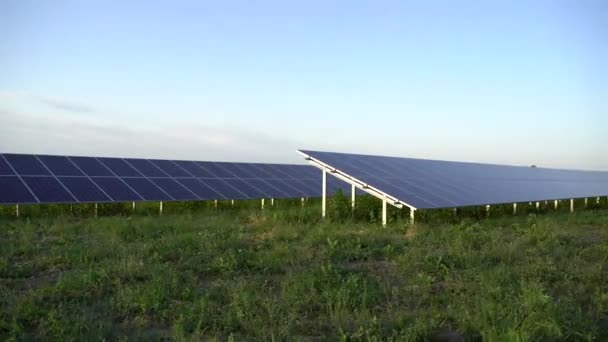 Solpaneler står i rad på marken. Gratis el för hemmet. Planetens hållbarhet. Grön energi. Solcellers kraftverksverksamhet. Ekologisk ren energi. Blå paneler på marken. — Stockvideo