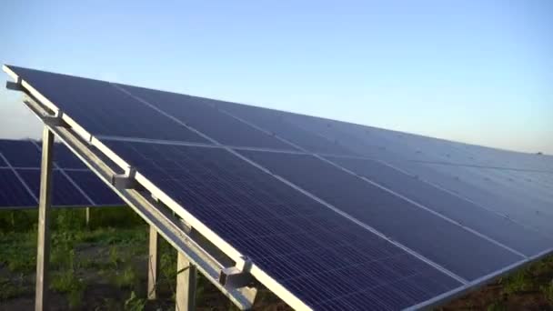 Zonnepanelen op de grond. Gratis elektriciteit voor thuis. Duurzaamheid van de planeet. Groene energie voor thuis. Handel in zonnecellen. Ecologische schone energie. Blauwe panelen op de grond. — Stockvideo