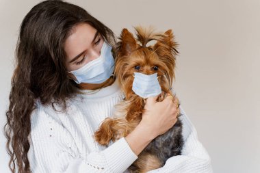 Tıbbi maskeli köpekli bir veteriner. Yorkshire Terrier 'ı çekici veteriner tutuyor. Salgın. Coronavirus konsepti. Grip salgını sırasında sağlık koruması
