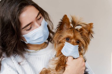 Tıbbi maskeli genç bir kadın da köpeği Yorkshire Teriyeri 'ne koruyucu maske takarak sarılıyor. Salgın. Coronavirus konsepti. covid-19 salgını sırasında sağlık koruması