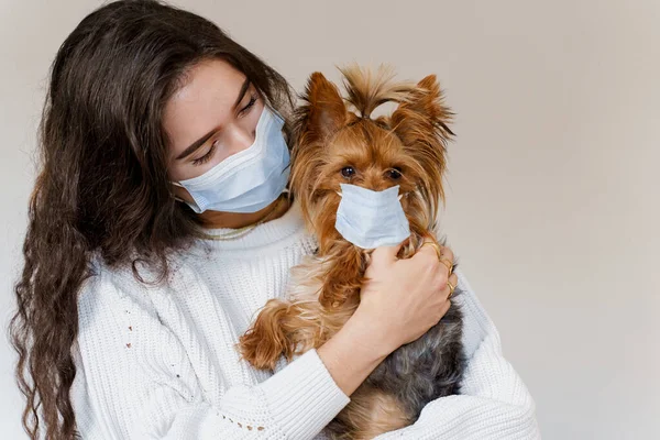Vet with dog in medical masks. Attractive veterinarian holds yorkshire terrier. Pandemic. Coronavirus concept. Health protection during flu outbreak