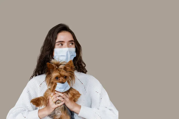 Vet with dog in medical masks. Attractive veterinarian holds yorkshire terrier. Pandemic. Coronavirus concept. Health protection during flu outbreak