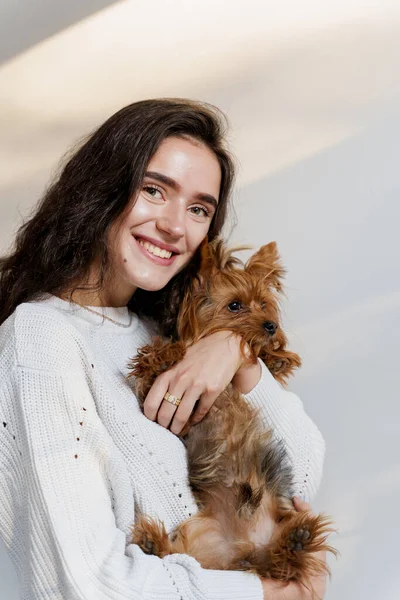Jovem Mulher Atraente Com Cão Yorkshire Terrier Sorri Feche Foto — Fotografia de Stock